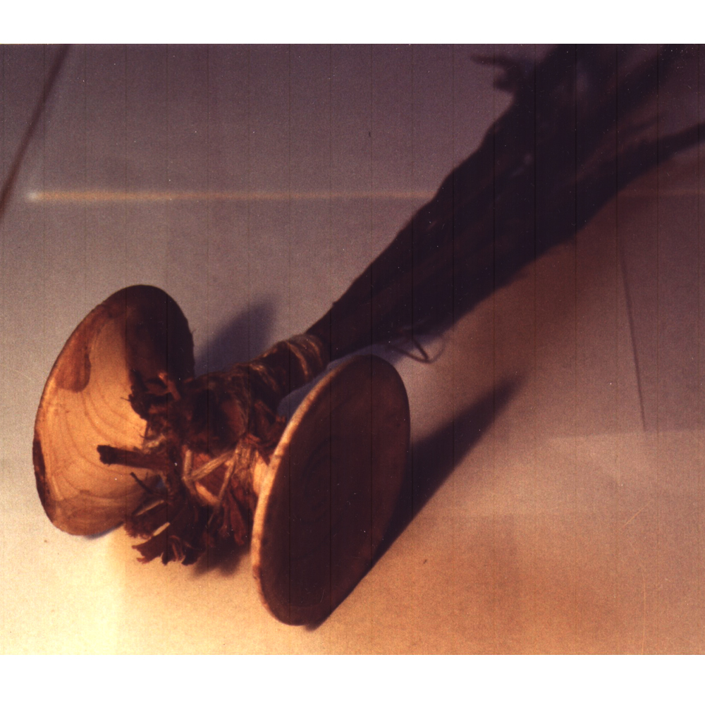 Lebensbaumgefährt 1985 Lebensbaum Holz und Rinde (Bildhauerei)